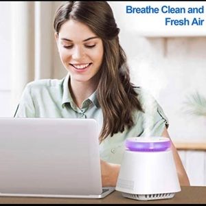 Air Purifier with Humidifying Function